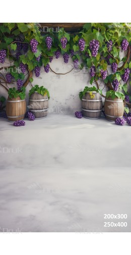 Tło fotograficzne 2867